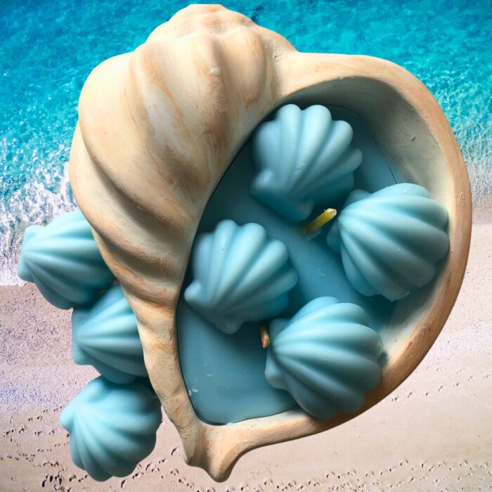 Luxurious Ocean Breeze Seashell Candle Transform Your Home into a Beachside Paradise comes with extra wax melts!